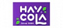 Hay Cola