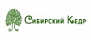Сибирский кедр
